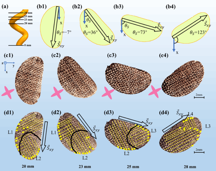 EVO厅·(中国区)视讯官网