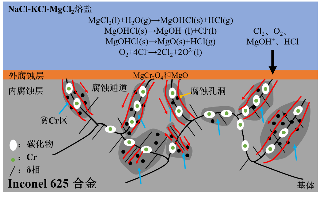 E24030E68A2119428AA95415FC9_73A1323F_11072