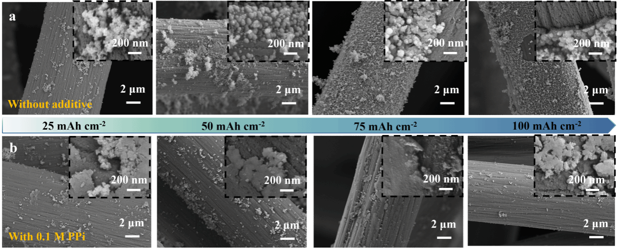 EVO厅·(中国区)视讯官网