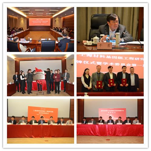 9843170EE3F8444822EE62F72EA_C83E3313_C992.jpg?e=