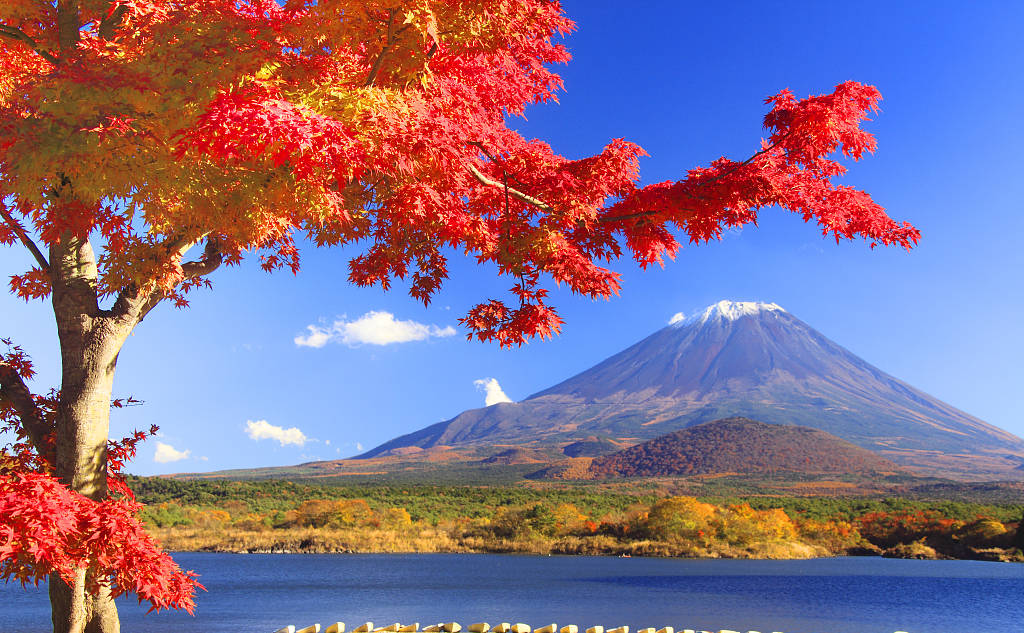 EVO厅·(中国区)视讯官网