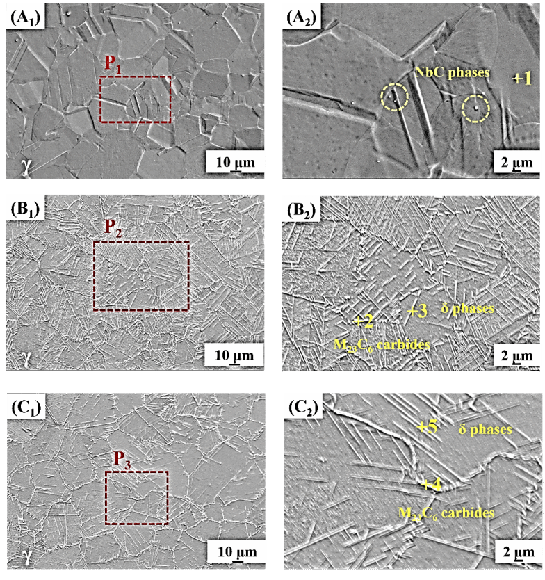 BBA2259AFCC0752067FB02CFF3D_679EE5CE_5DD61