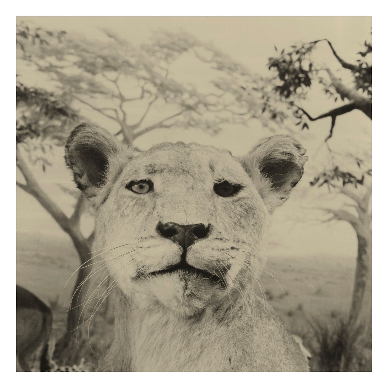 C25C0B66CEC1DA3F9003609A6F2_4E3F9A9F_298DB