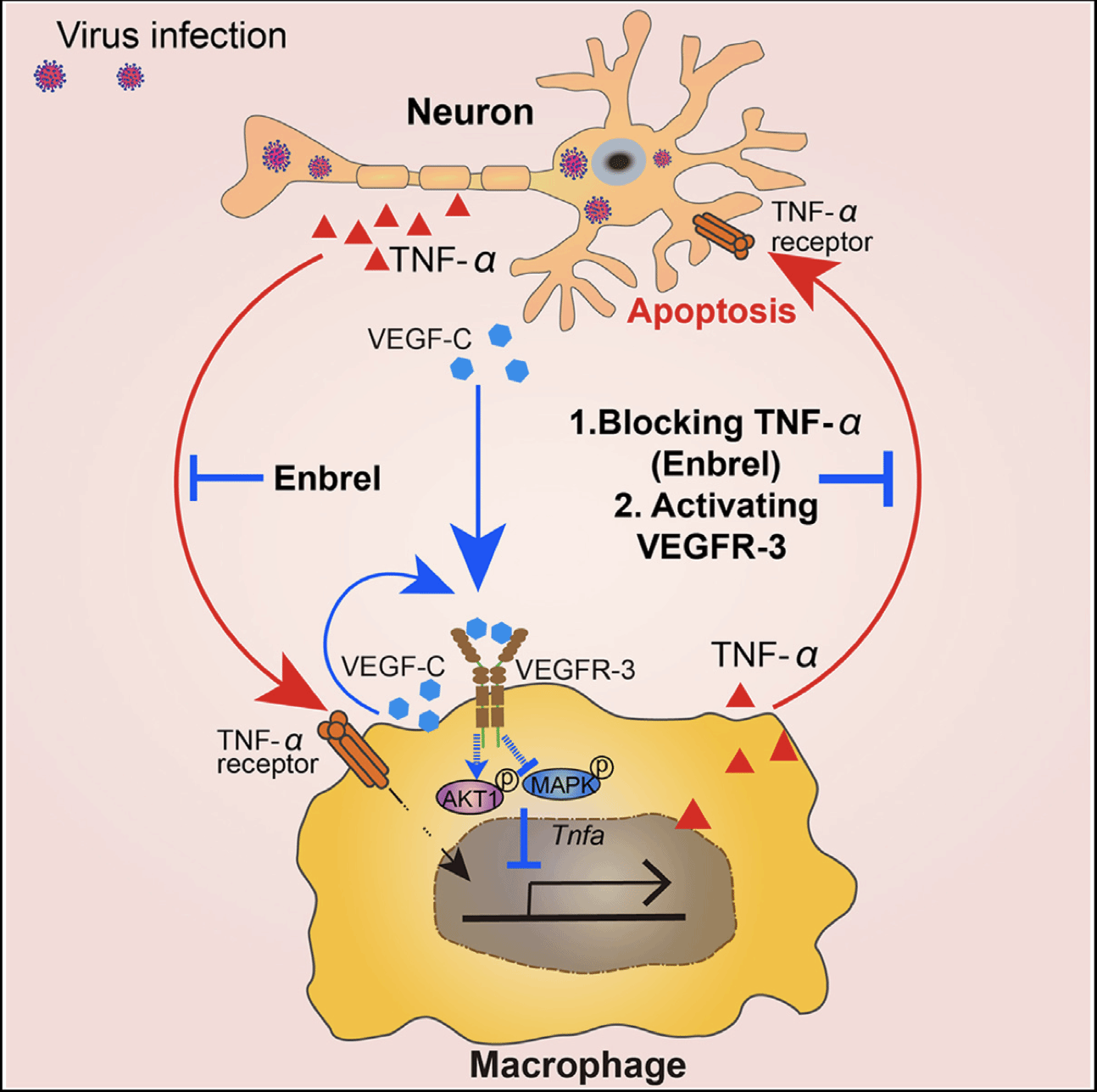 F2C9755FDF0AC1F7F3B2901C7CC_5C75AD88_3C7B5
