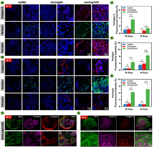 EVO厅·(中国区)视讯官网