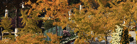 EVO厅·(中国区)视讯官网